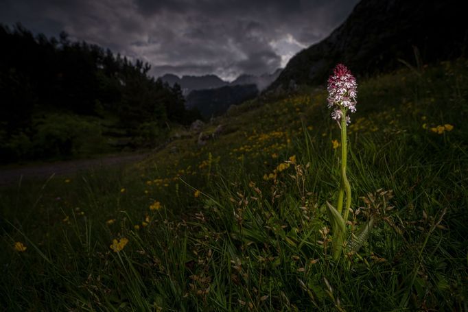 Nominace na Czech Nature Photo 2024