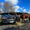 Dodge RAM 1500 Longhorn 2024