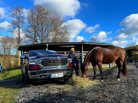 Klisna Samy. Narodila se v roce 2018. Jde o plemeno american quarter horse a dohlíží na ní paní ranče Karolína.