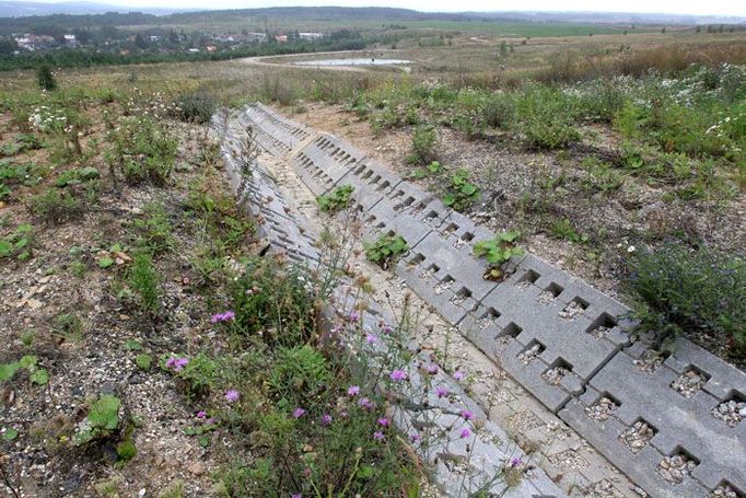 Na Krušnohorské výsypce se již pro ně chystá nový domov. Stát uvolnil 14 miliard na odstranění starých důlních škod, byla by škoda je nevyužít.