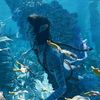 Trailer z filmu Avatar: The Way of Water