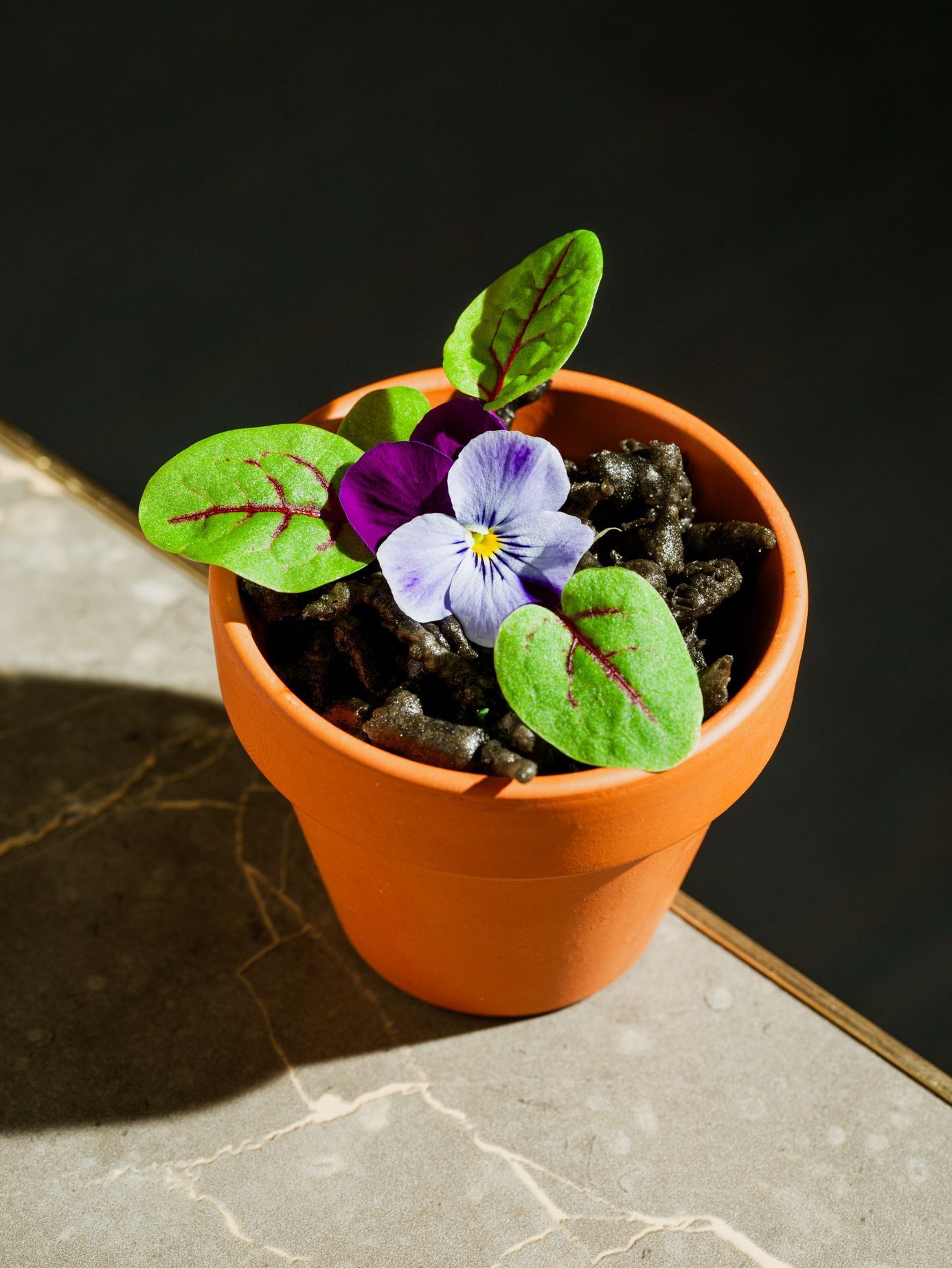 Beef, degustační večeře, Holešovická tržnice