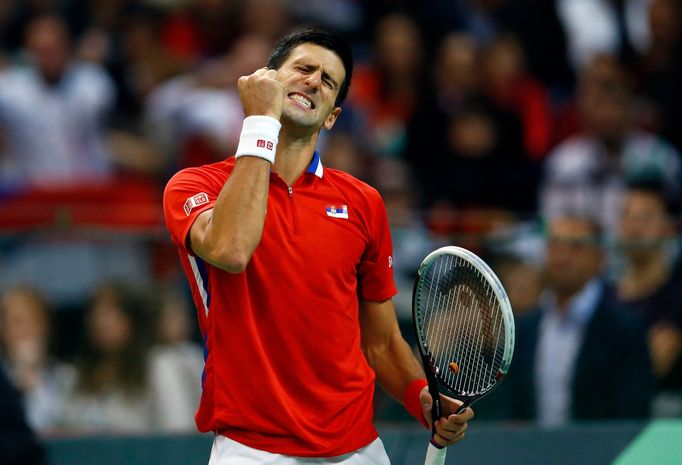 Novak Djokovič ve finále Davisova poháru v utkání proti Štěpánkovi