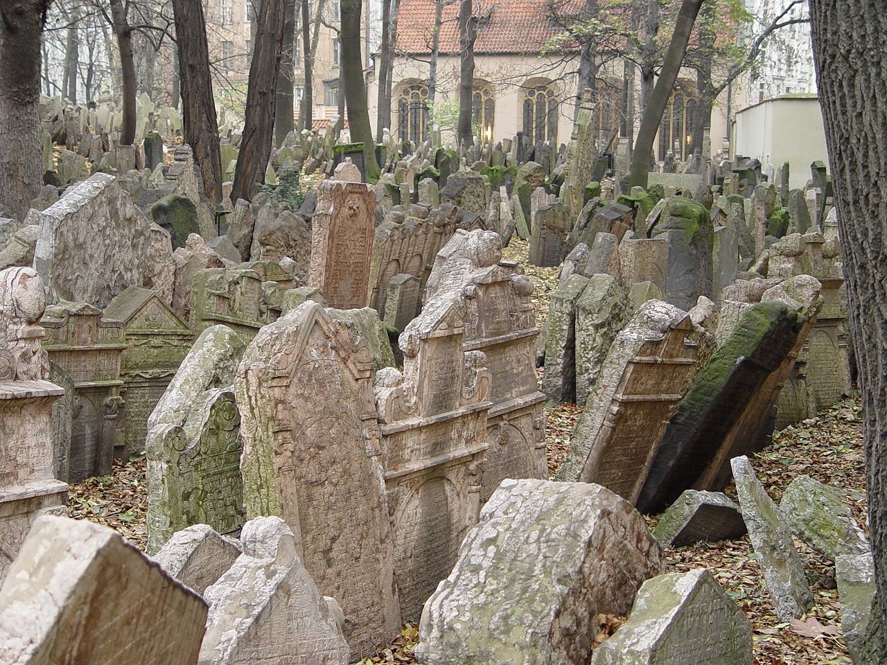 Židovské muzeum v Praze	- židovský hřbitov