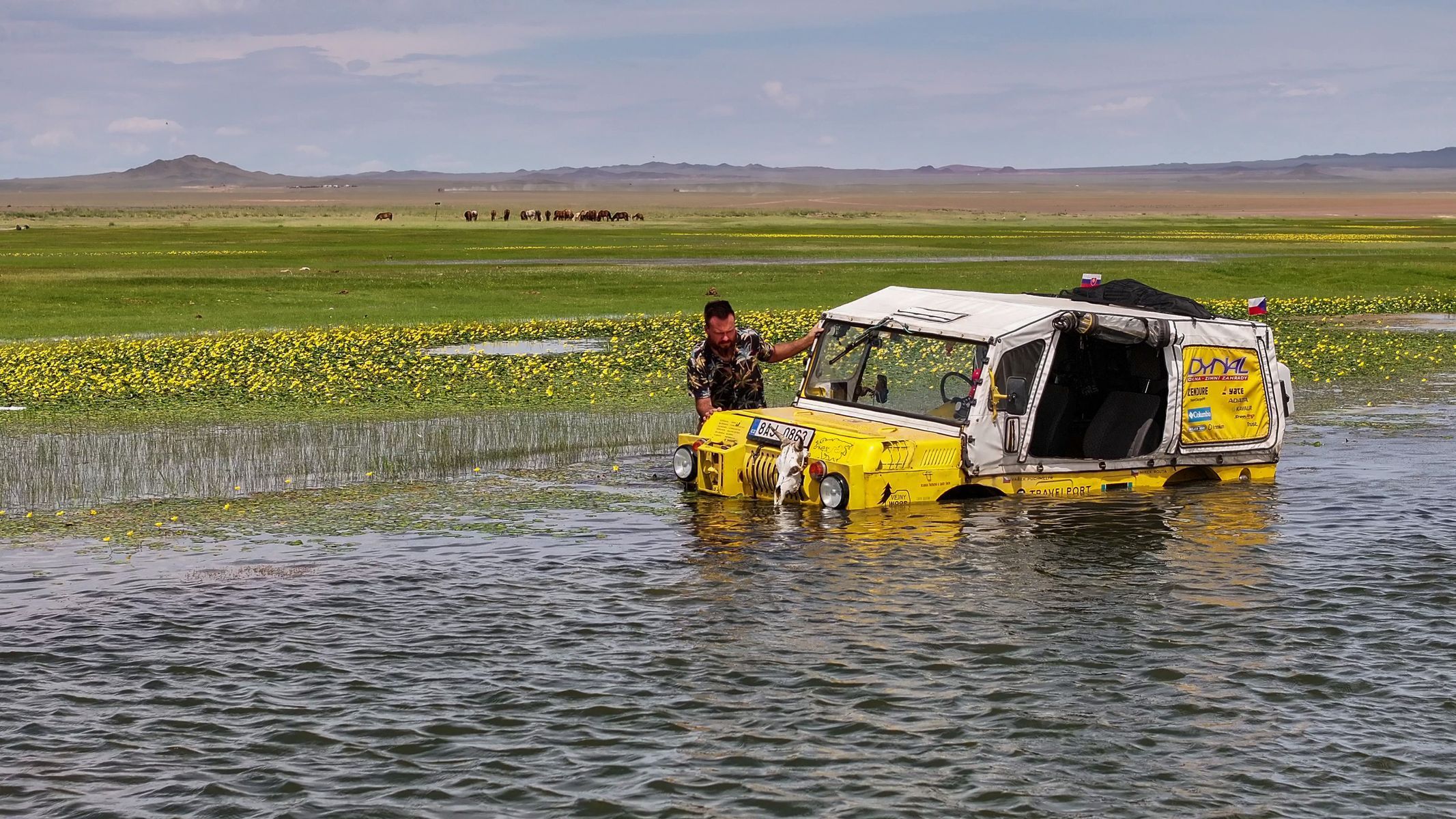 Žlutá žába pluje!