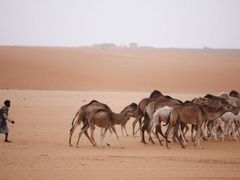 Uprostřed Sahary je nikdo hledat nebude - novodobí otroci.