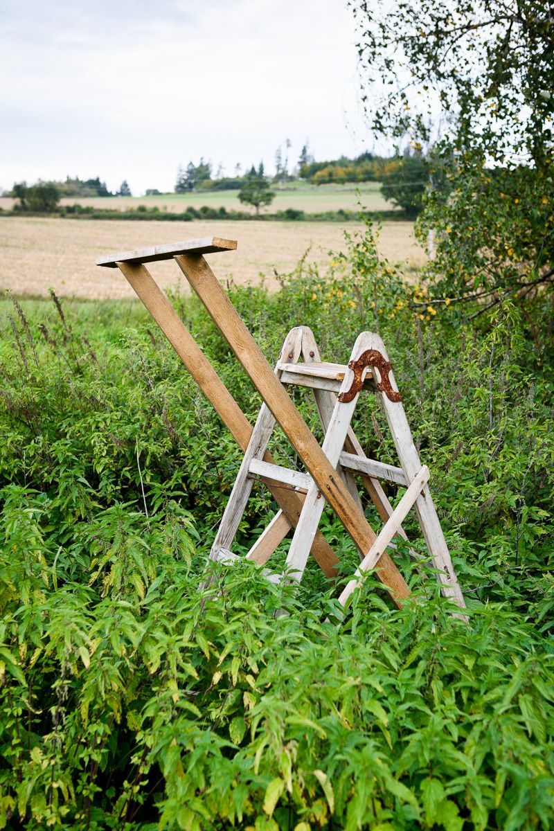 Lovec posedů / Fotogalerie / Posedy jak je určitě neznáte. Nechte se uhranout géniem myslivecké tvořivosti