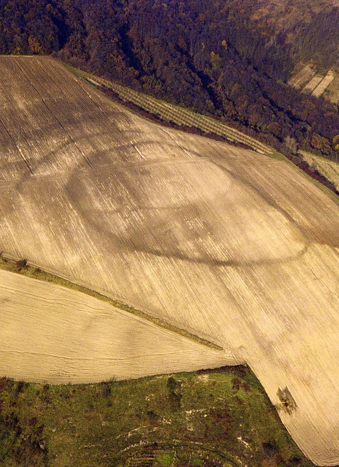 Hradiště s dobře patrnými liniemi někdejších obranných příkopů zviditelněných prostřednictvím půdních příznaků v Kobylí (okres Břeclav).