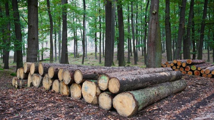 Ceny průmyslových výrobců v srpnu meziročně vzrostly nejvíce za 28 let; Zdroj foto: Viktor Vondra