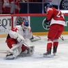 Hokej, MS 2013, Česko - Dánsko: Zbyněk Irgl - Simon Nielsen
