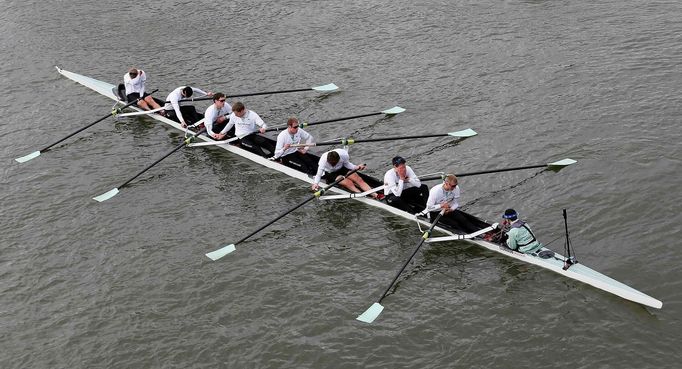 Veslování, regata Oxford - Cambridge: poražený Cambridge