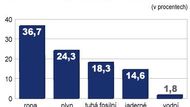 Spotřeba energie v EU podle zdroje