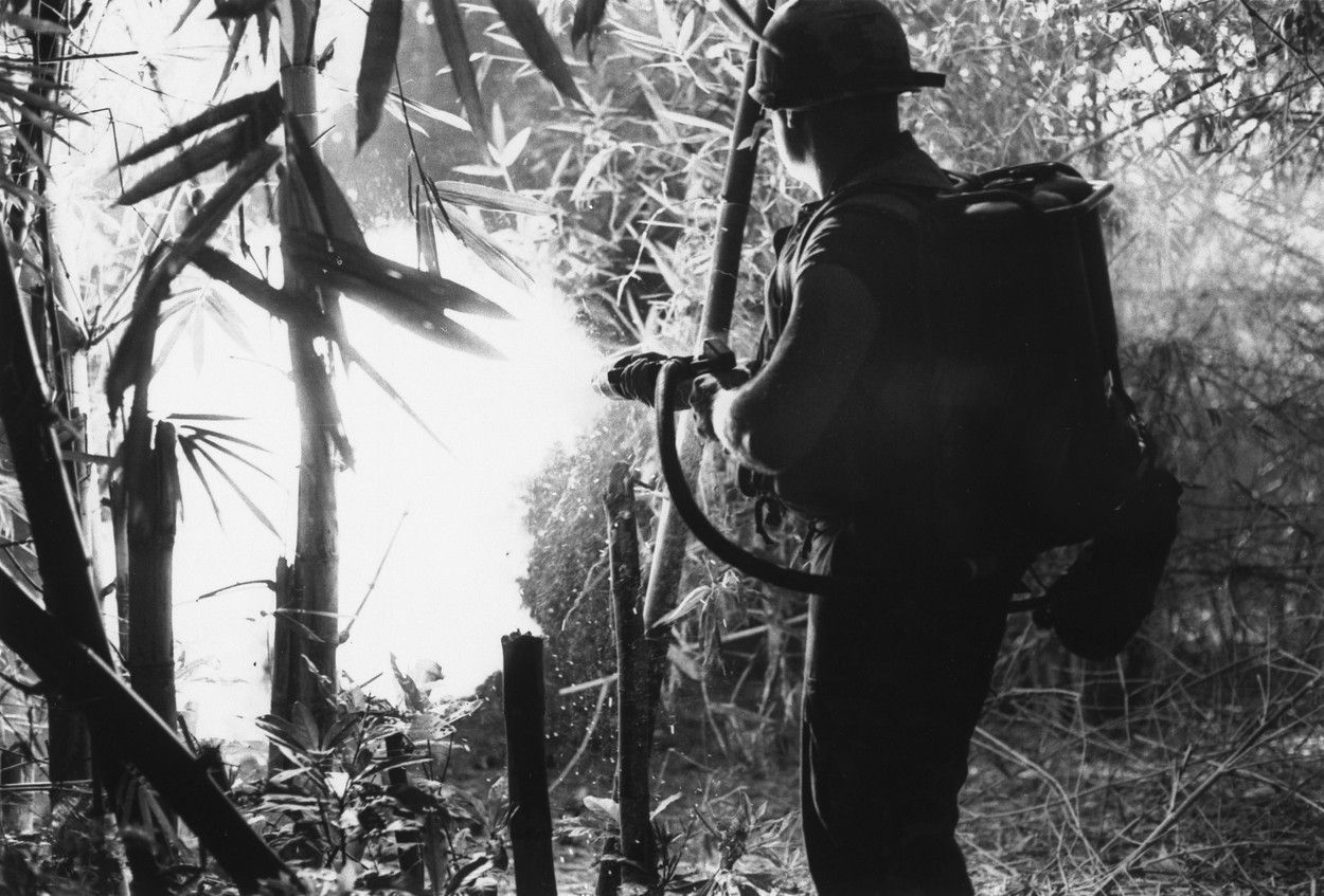 Jednorázové užití / Fotografie z války ve Vietnamu / Profimedia