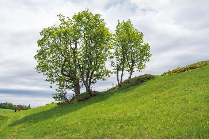 Letní Krkonoše, tipy na výlety