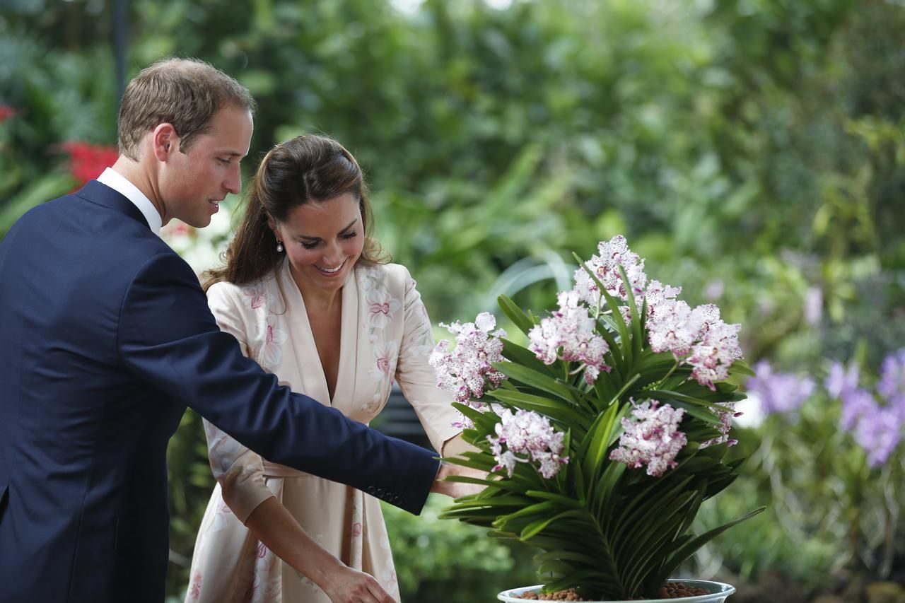 Kate a William na výletě v Singapuru