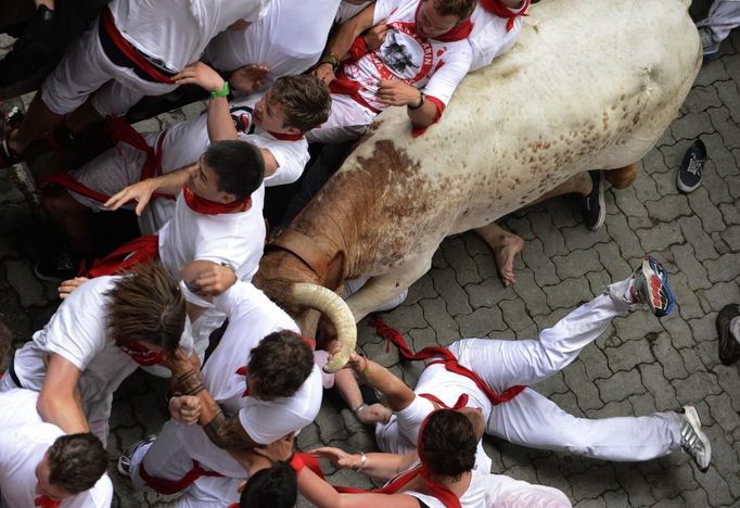 Runners are knocked down by steers at the entrance to the bullring during the first running of the bulls of the San Fermin festival in Pamplona July 7, 2012. One person was gored and four others injured in a run by Dolores Aguirre fighting bulls that lasted two minutes and fifty-two seconds, according to local media. Steers are used to guide the bulls and round up any that are divided from the pack of six. REUTERS/Vincent West (SPAIN - Tags: ANIMALS SOCIETY) Published: Čec. 7, 2012, 8:26 dop.