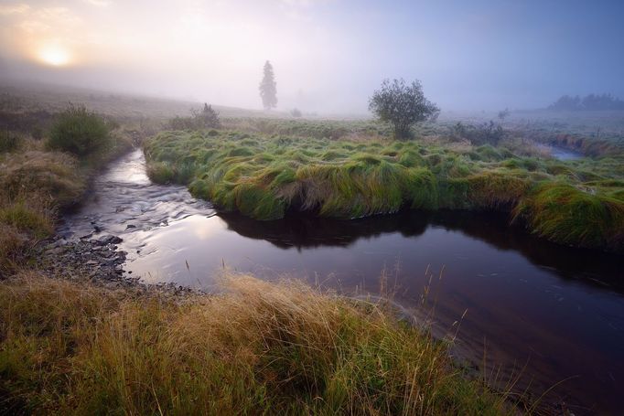 Pavel Ouředník: Šumava