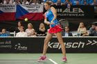 Živě Fed Cup: Švýcarsko - Česko, Plíšková padla s Golubicovou, v Lucernu je vyrovnáno
