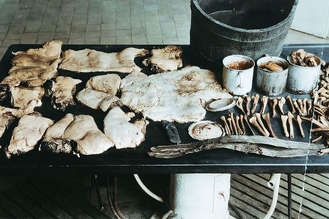 Důkazní materiál z bytu Karla Denkeho, Münsterberg (Ziębice), prosinec 1924 - stůl s masem a nástroji z místa činu sériového vraha. Kolorováno