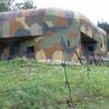 Bunkry, pěchotní sruby a předmnichovská opevnění: Březinka