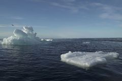 Arktida se otepluje téměř čtyřikrát rychleji než zbytek světa, zjistili vědci