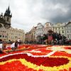Koberec z begónií na Staroměstském náměstí