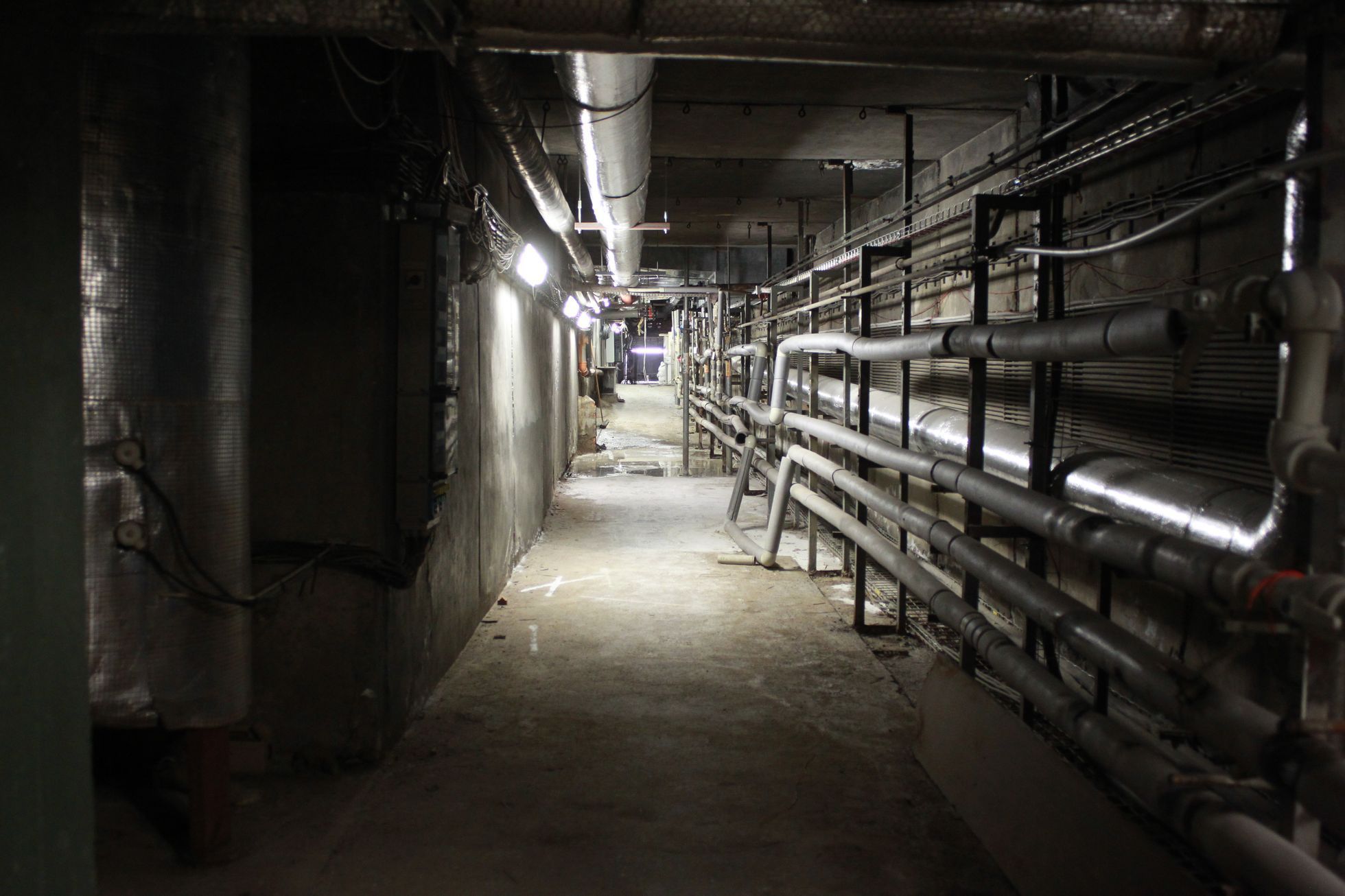 Sportovní hala v Holešovicích, 2023