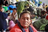 Žena krmí z temene své hlavy papouška během demonstrace původních obyvatel Bolivie, kteří bojují proti zamýšlené stavbě dálnice, jež by měla vést přes jejich území.