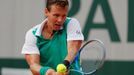 Tomáš Berdych, French Open 2017