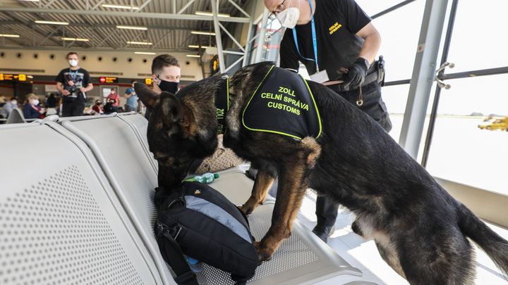 Celníci mají nově řešit daňové úniky. Nebudujme paralelní policii, varuje Stanjura