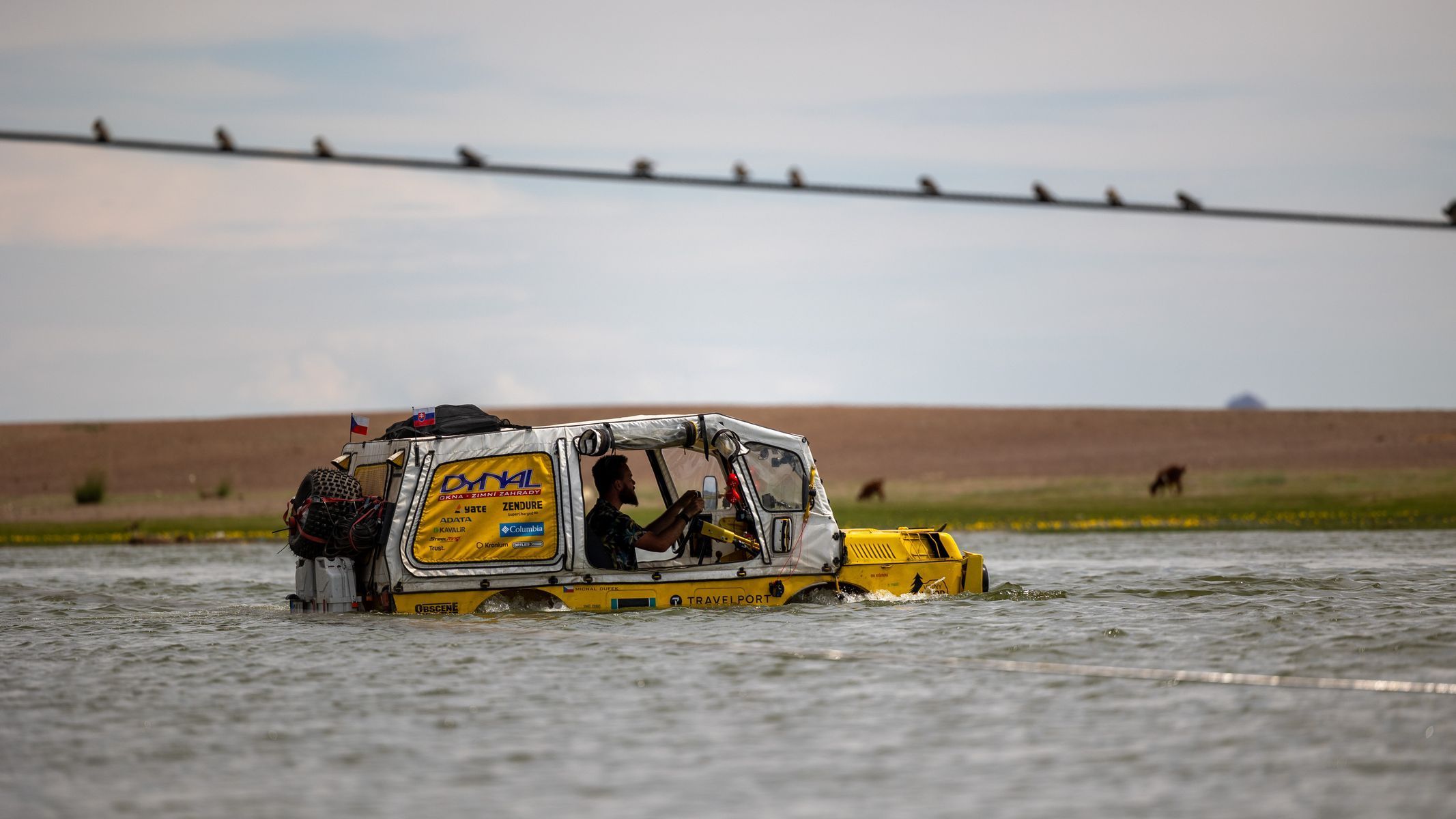 Žlutá žába pluje!