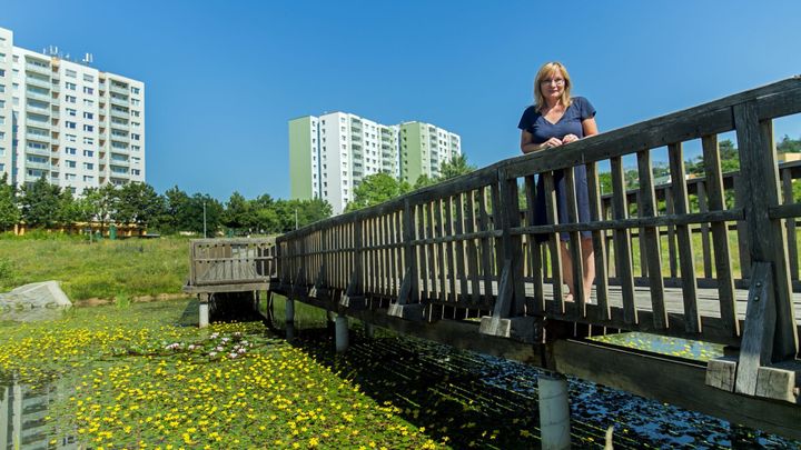 Panelové sídliště v Brně změnila v přírodní park. Novému Lískovci vládne už 18 let