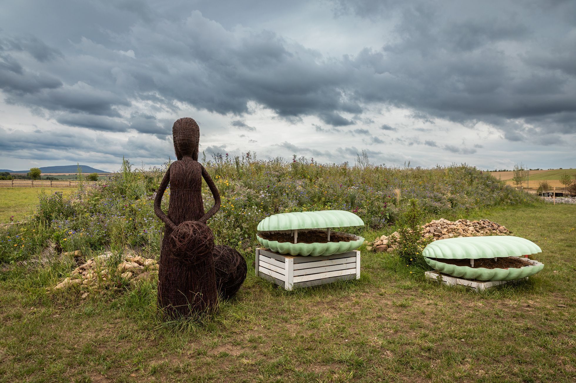 Levandulové údolí, údolí, levandule, Helena Neummanová, Chodouň