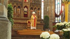 Kardinál Vlk - poslední bohoslužba, sv. Vít