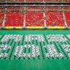 Konfederační pohár FIFA v Brazílii 2013