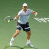 Tomáš Berdych - Roger Federer finále v Dubaji