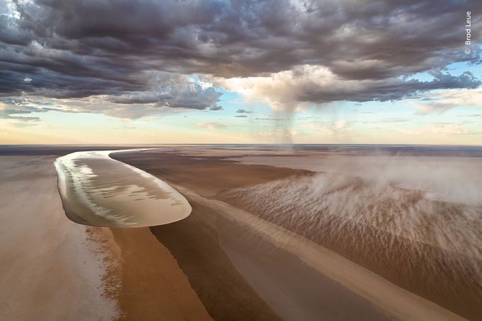 Fotografie ze soutěže Wildlife Photographer of the Year, které se utkají o cenu veřejnosti.