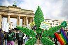 V Německu bude od dubna legální marihuana. U Mnichova vzniká "zážitkový svět"