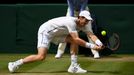 Andy Murray ve finále Wimbledonu 2016.