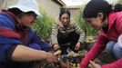 Gladys Tejeda (C), the first Peruvian athlete who qualified for the 2012 London Olympic Games, prepares a typical Pachamanca dish with her sister Rosario (L) and her sister-in-law Carmen for a Mother's Day celebration at their home in the Andean province of Junin May 13, 2012. A private company will take her mother Marcelina Pucuhuaranga, 69, to London as part of the "Thank you Mom" program. For Pucuhuaranga, who received her first passport, it will be the first time travelling out of Peru. The program will take about 120 mothers of different athletes around the world to attend the games. Tejeda, the youngest of nine children, returned to her hometown to visit her mother and to focus on training where she will run more than 20 km every day in the highlands (over 4,105 meters above sea level). Picture taken May 13, 2012. REUTERS/Pilar Olivares (PERU - Tags: SPORT ATHLETICS OLYMPICS FOOD)