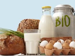 Září je měsíc biopotravin: Doplňte si znalosti a poznejte nové bioprodukty