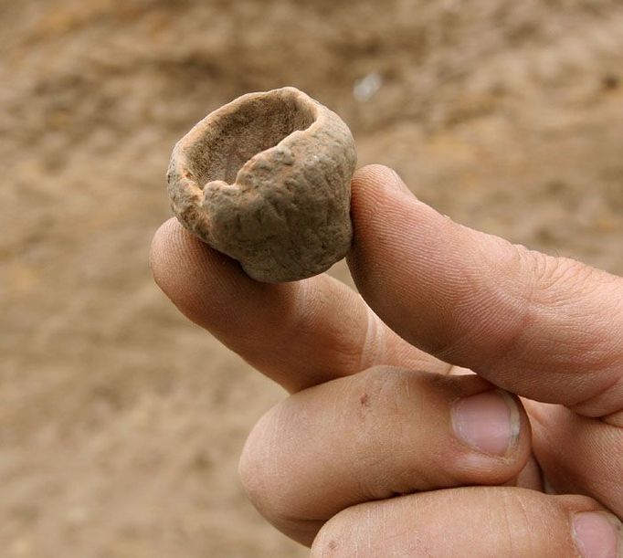 Archeologové zkoumají osadu celkem osmi domů. Nalezli mnoho předmětů. Tato miniaturní mistička byla podle domněnky jednoho z nich hračkou.