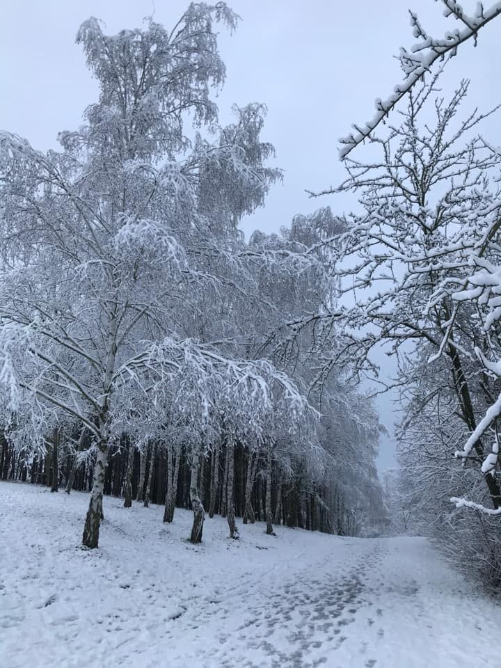 Zasněžené Česko očima čtenářů Aktuálně.cz