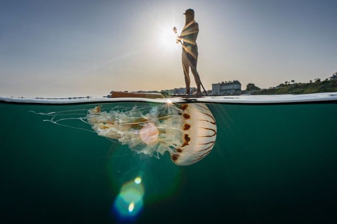 Vítězové fotografické soutěže Underwater Photographer of the Year 2022