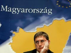 Vyznamenání chtěl pro Horna premiér Ferenc Gyurcsány.