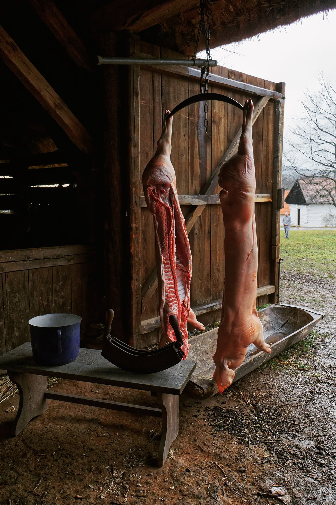Masopust v Muzeu lidových staveb v Kouřimi, 2024