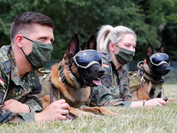 Německý program na cvičení služebních psů, kteří dokáží vyčichat covid-19.
