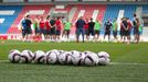 FC Viktoria Plzeň vs. AS Řím, tisková konference, trénink