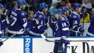 NHL: Toronto Maple Leafs vs Tampa Bay Lightning (Palát)