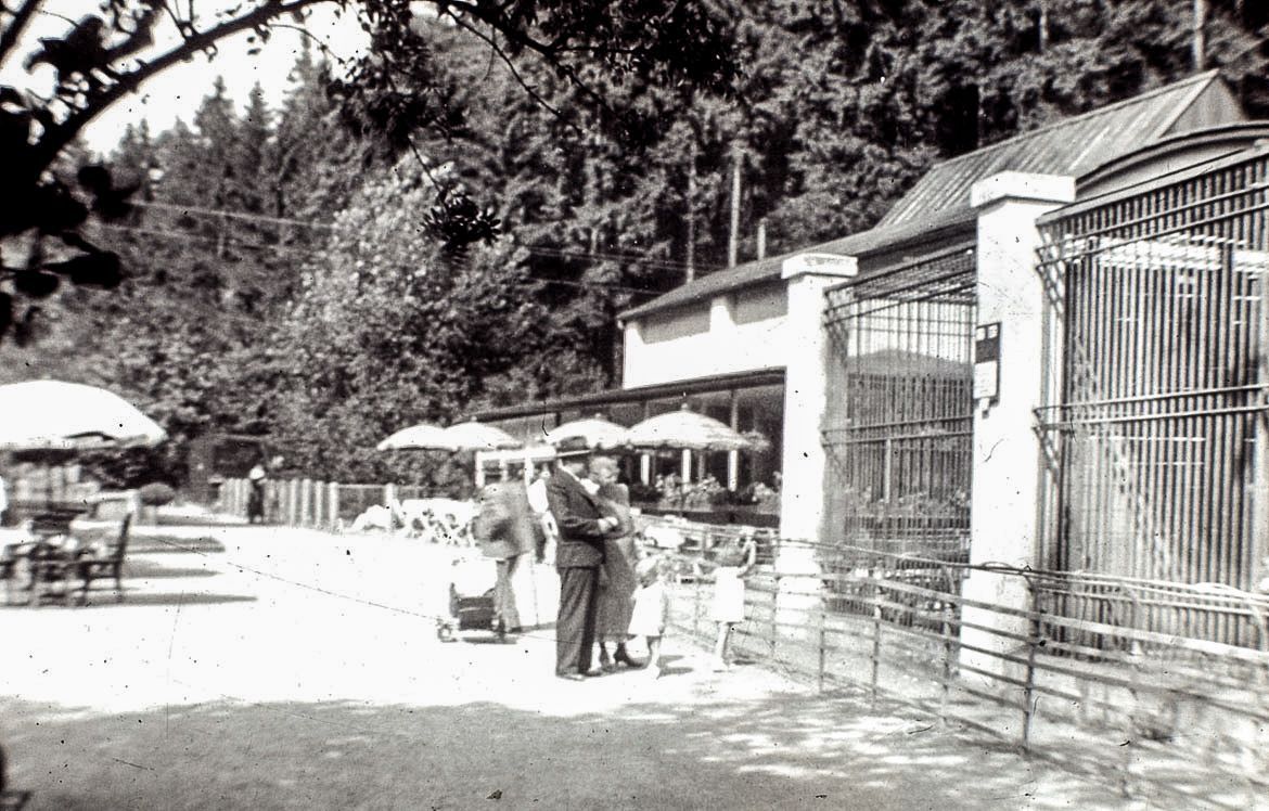 ZOO Liberec, zoo, zoologická zahrada, Liberec, historie, výročí, Domácí